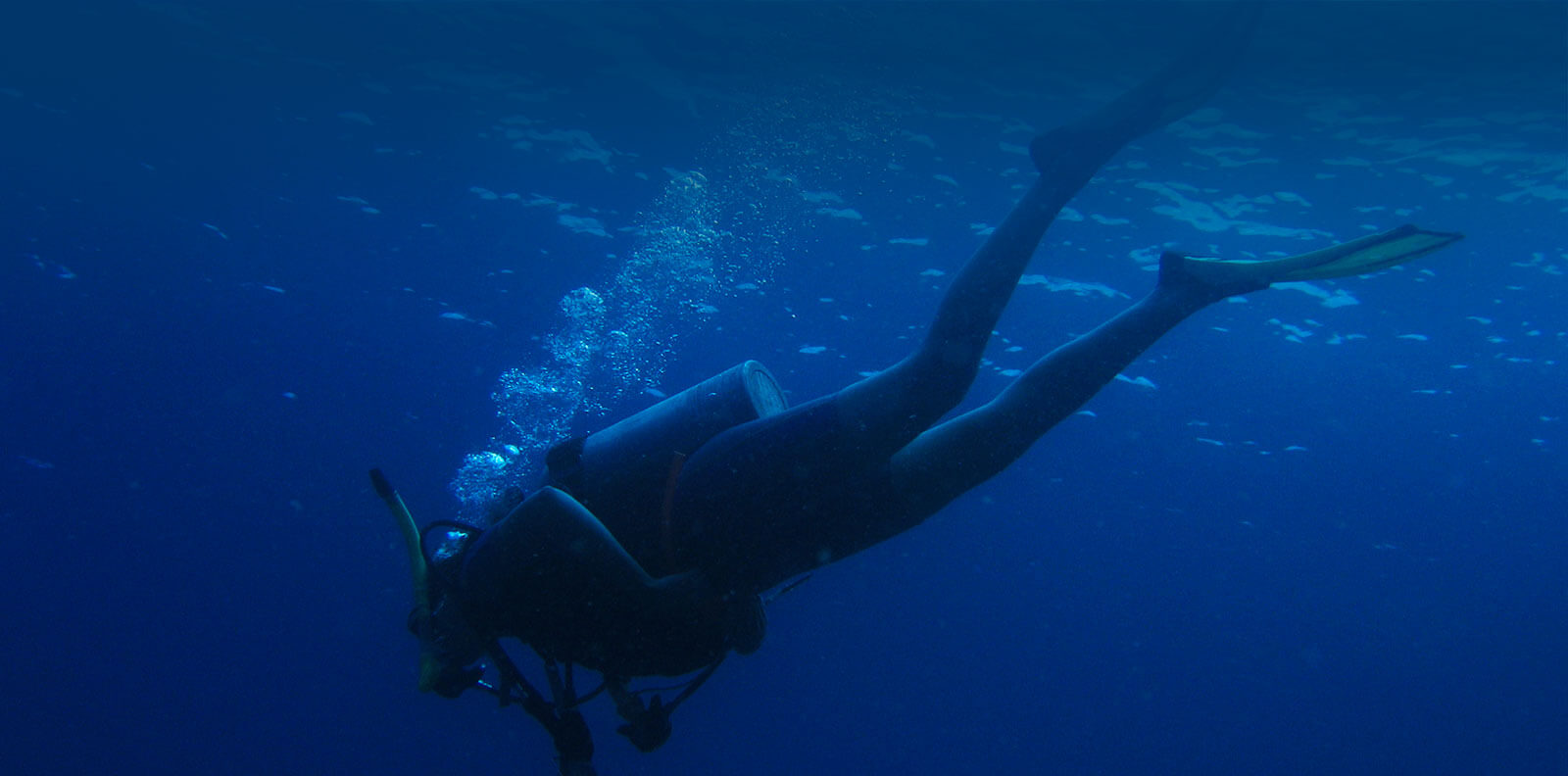 Fijian Dive Trips